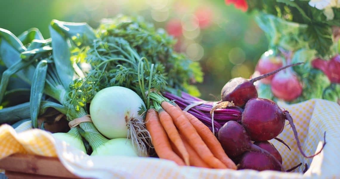 Promisecare Medical Group - A variety of fresh vegetables in a basket, bathed in sunlight.