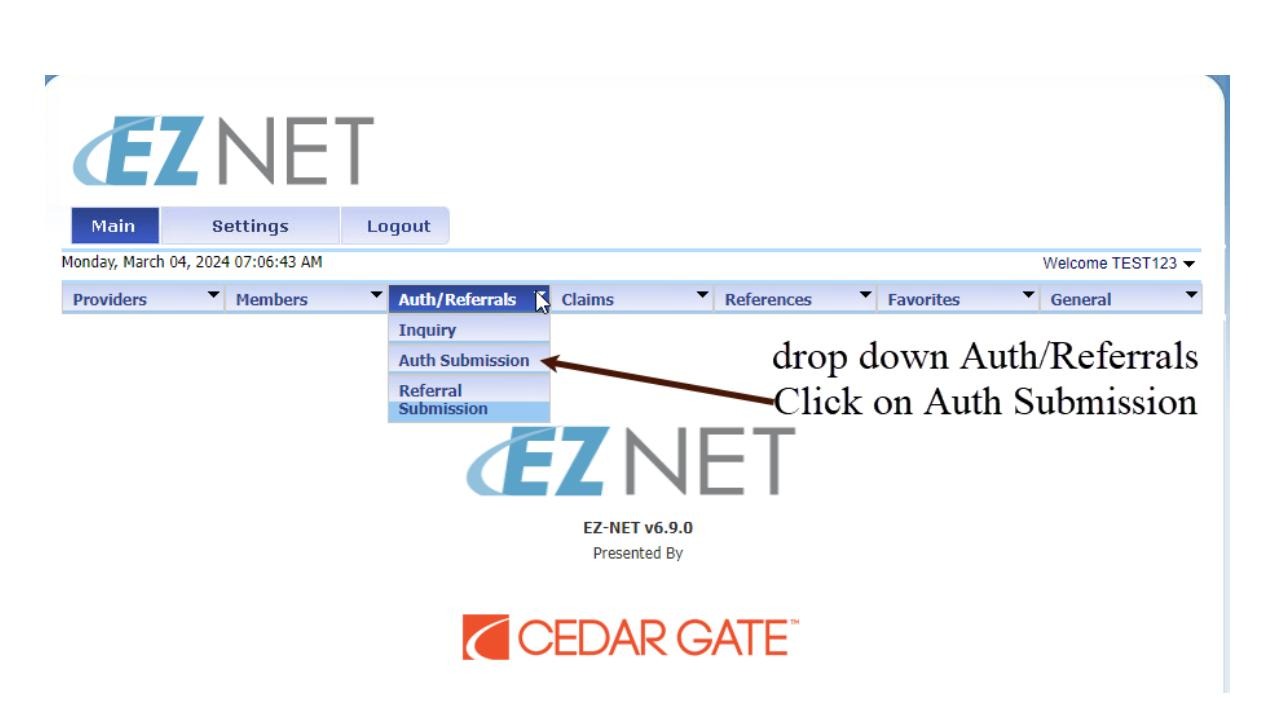 Auth/Referrals menu with Auth Submission option highlighted
