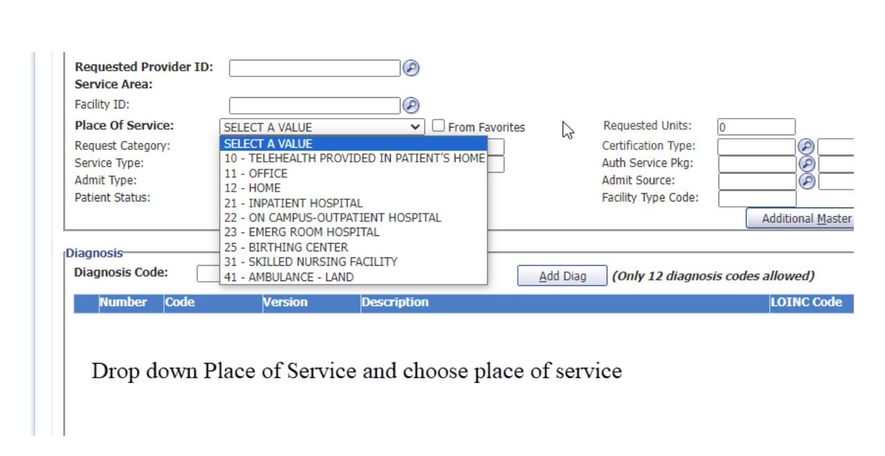 Place of Service dropdown with location options