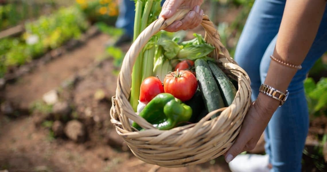 Promisecare Medical Group - Person holding a basket of fresh vegetables in a garden.