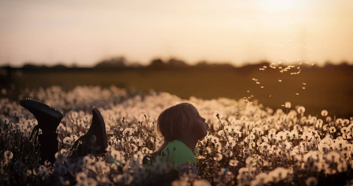 Promisecare Medical Group - Young girl lying in a field of dandelions during sunset.