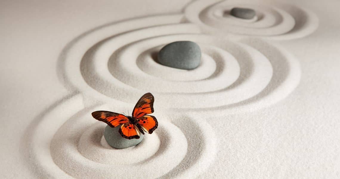 Promisecare Medical Group - A vibrant orange butterfly rests on a smooth stone within a meticulously arranged sand zen garden featuring spiral patterns.